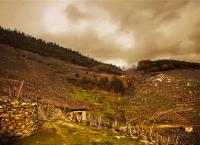 Ribeira de Chanteio-Pinol